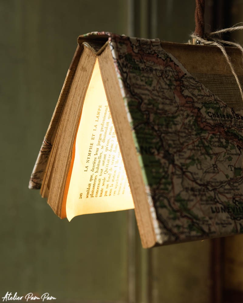 Bird Book Map
