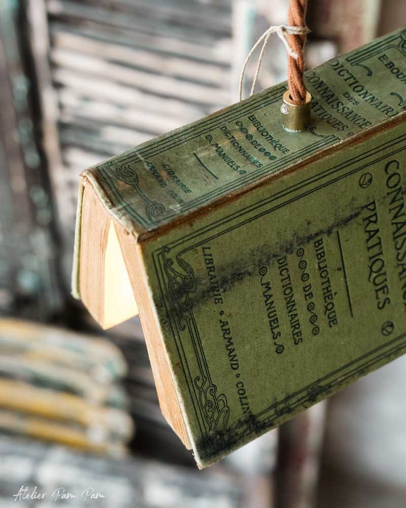 Bird Book Dictionnaire