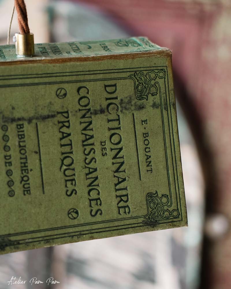 Bird Book Dictionnaire