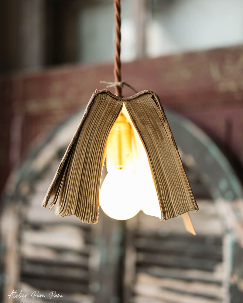 Bird Book Racine