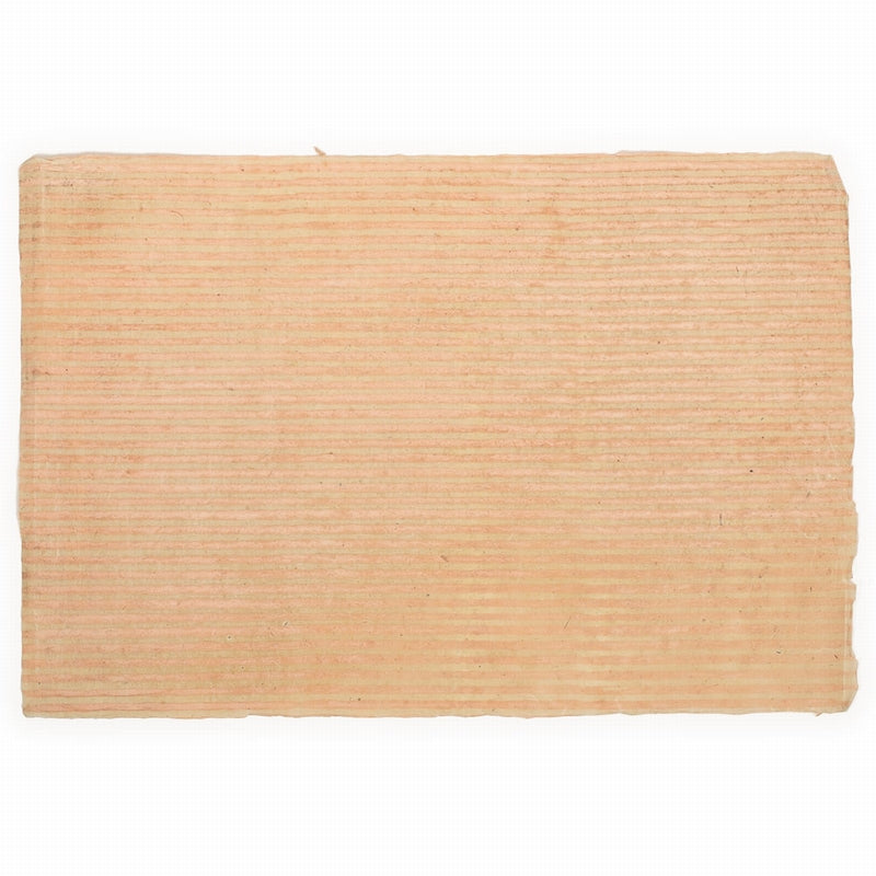 Papier peint Le Monde Sauvage